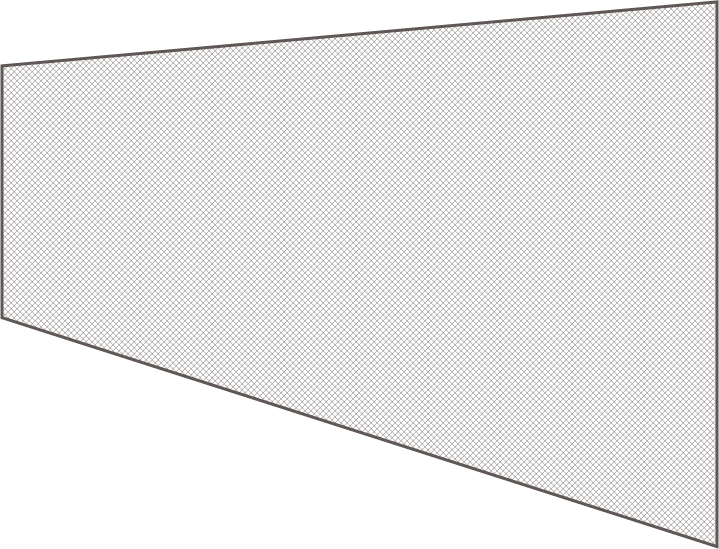 先輩の声